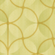 Avocado CI-003