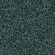 Spruce