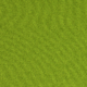 Parakeet 020